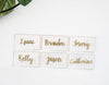 ElegantCirlce 100 PCS 3.5 x 2 in. Clear Acrylic Place Cards Rectangle Shape Perfect for Weddings, Parties, Table Numbers, Guest Names, Food Signs, Birthdays, Decorations 3 1/2 by 2 in. (100 Pack)