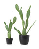 Creative Co-op Cactus in Pot Faux Botanical, Green