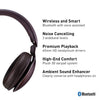 Panasonic Noise Cancelling Headphones with Wireless Bluetooth and Smartphone Siri or Google Voice Assistant - RP-HD605N-T - Over the Ear Headphone (Brown)