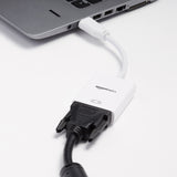 AmazonBasics DisplayPort to DVI Display Adapter - 10-Pack