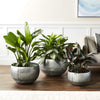 Creative Co-Op Metal Planters (Set of 3 Sizes), Silver & Gold